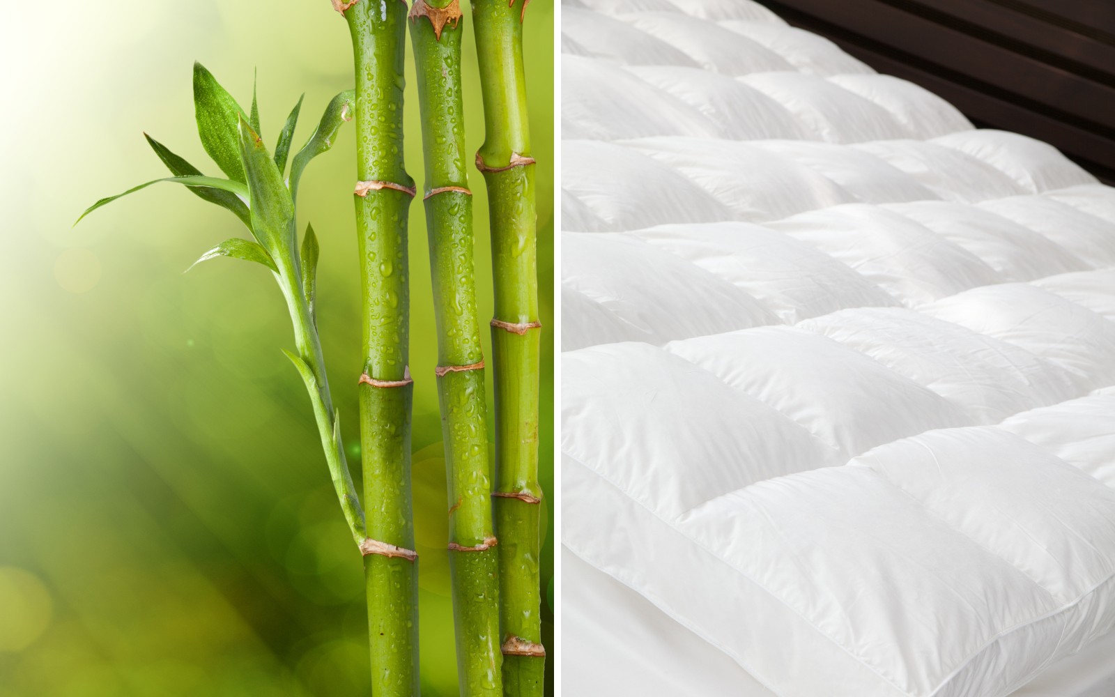 Et billede af bambus (venstre) og dyner (højre)